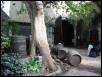 Wine Cave
