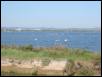 Etang