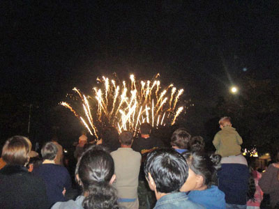 Bastille Day Fireworks ©2011 Marlane O'Neill.  All rights reserved.