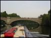 Albert Bridge