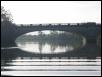 Albert bridge in the morning