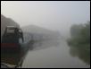 Foggy morning