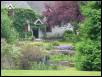 Dream Cottage!